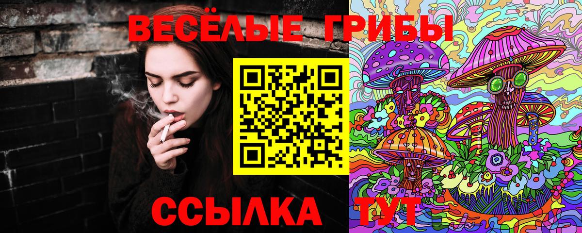 Усть-Джегута  Галлюциногенные грибы Psilocybe  где найти наркотики  Вход с VPN 