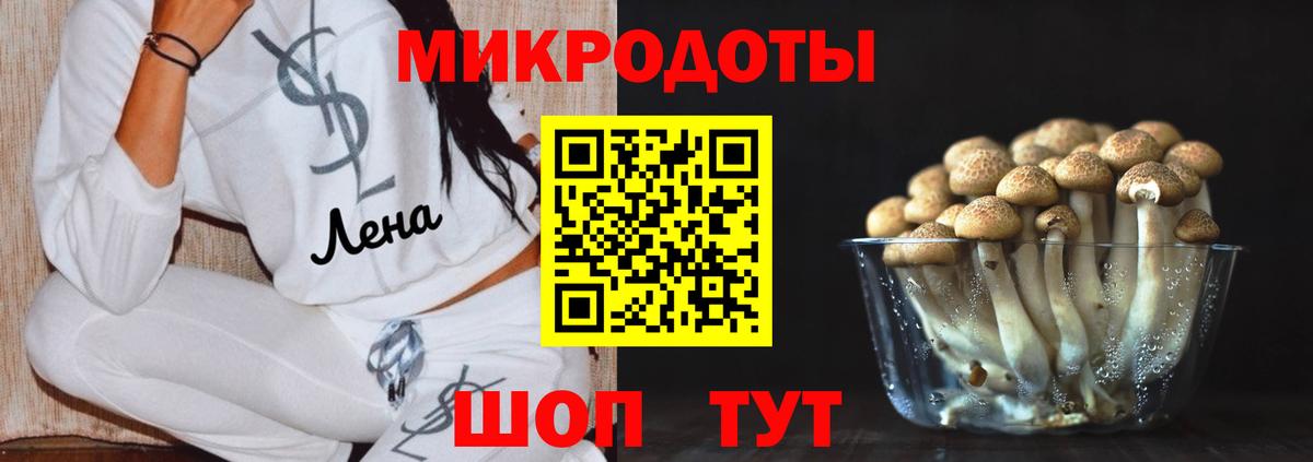 Галлюциногенные грибы мицелий Усть-Джегута